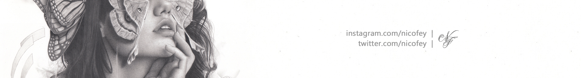 The Dream of Butterfleyes banner